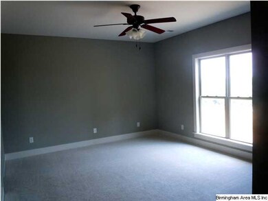 The spacious master bedroom is spacious and faces 