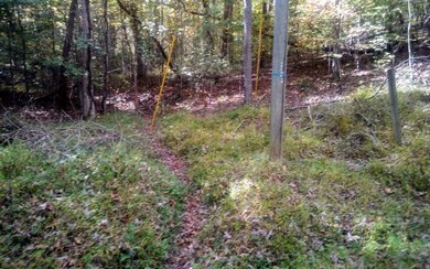 0 Gladstone Ct unit 301673, Ellijay, GA 30540 - photo 4