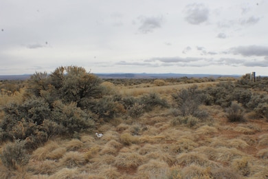 Lot 14 Cavalry Camp Rd, Arroyo Seco, NM 87529 - photo 4