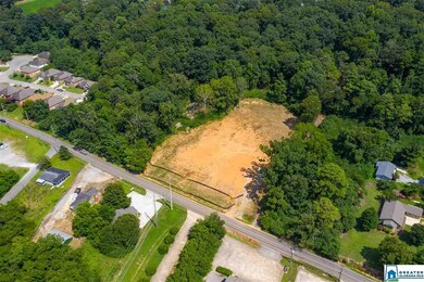 2225 Old Springville Rd unit lot 4-6, Center Point, AL 35215 - photo 3