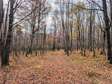 W N 20 School Rd, Glen Flora, WI 54526 - photo 6