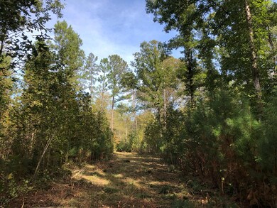 59.65 Ac White Rock Rd, Lincolnton, GA 30817 - photo 5