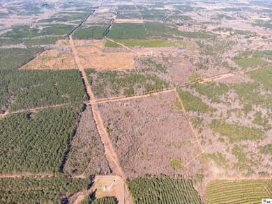 0 China Grove Rd, Ruston, LA 71270 - photo 4