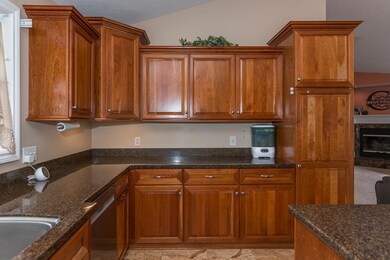 24505Palm-48