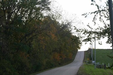 Lot 2 Mortensen Rd, Brooklyn, WI 53521 - photo 6