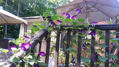 21 Wildridge Rd, Standish, ME 04084 - photo 7