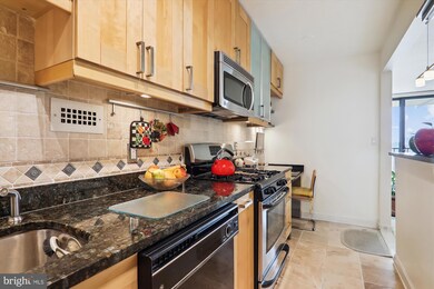 The Riviera unit 914, Chevy Chase, MD 20815 - photo 3