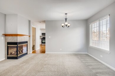 Dining/Living Room