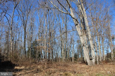 0 Constitution Hwy unit VAOR138306, Locust Grove, VA 22508 - photo 4