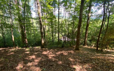 Additional View