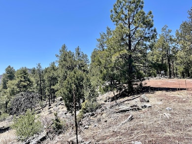 2 E County Road 1013 Rd unit 12, Greer, AZ 85927 - photo 6