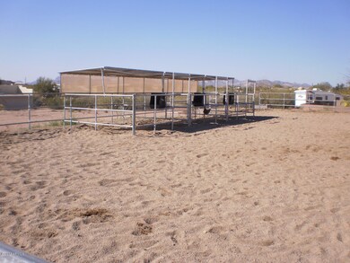 New Covered Stalls
