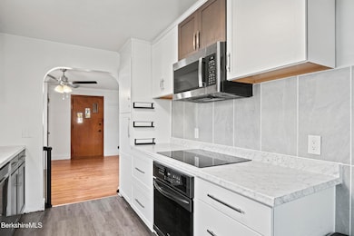 11 Mcallister St, Pittsfield, MA 01201 - photo 6