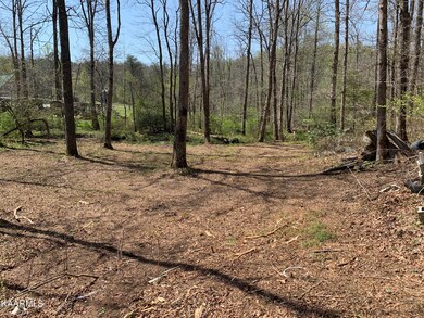 00 Claysville Rd, Crossville, TN 38571 - photo 4