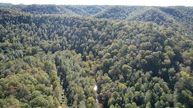 Quicksand Creek Rd, Lambric, KY 41339 - photo 2