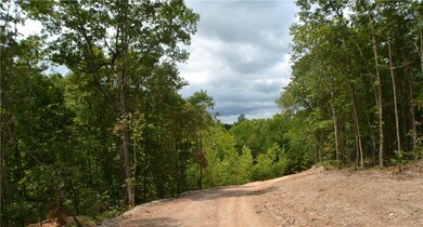 0 Gailey Hollow Rd unit 1046409, Siloam Springs, AR 72761 - photo 4