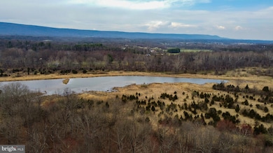 20 Hallows Way, Gerrardstown, WV 25420 - photo 5