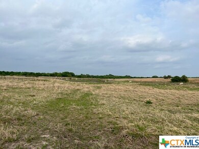 1010 Bottoms Rd E, Troy, TX 76579 - photo 6