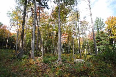 289 Handle Rd, Dover, VT 05356 - photo 7