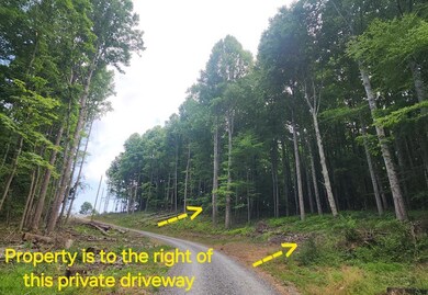 TBD Starmount Ln, Galax, VA 24333 - photo 2