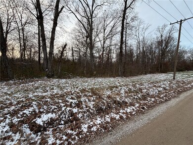 0 Kings Hill Rd, Sumner, IL 62466 - photo 5