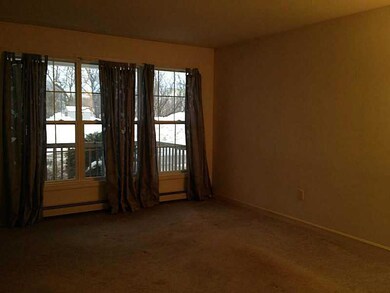 Living Room. Large carpeted living...