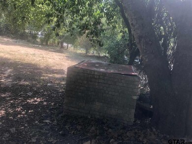 13020 County Road 287, Tyler, TX 75707 - photo 5