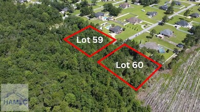 112 Vixenhill Dr, Jesup, GA 31546 - photo 4