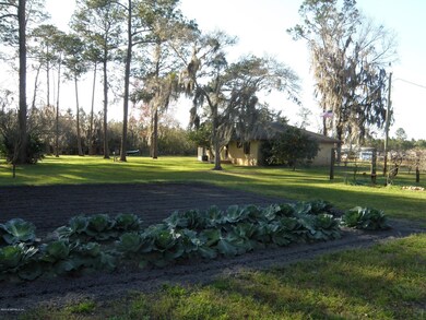 garden and grapevines 1