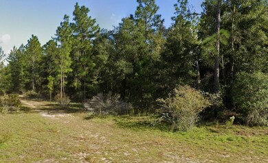 0 Maryland Ave unit 25640315, Hawthorne, FL 32640 - photo 2