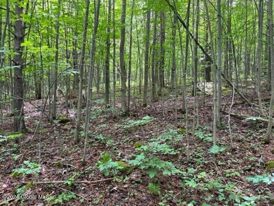 IMG_3060