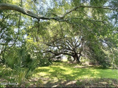 W Willow grounds