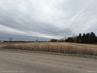 31 Mile Rd, New Haven, MI 48050 - photo 5