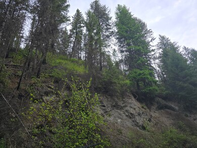 Landslde Southern end of property