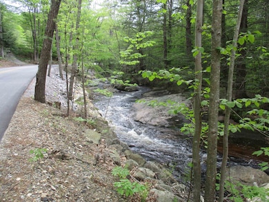 Bog Brook