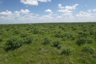 Tract 12 TBD Cr 483, Hawley, TX 79525 - photo 3