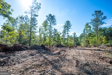 3785 Hwy 140 NE, Rydal, GA 30171 - photo 6