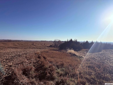No Situs 80 Acres Ave, Sterling, NE 68443 - photo 6