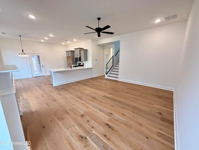 636 Tallahatchie St, Hernando, MS 38651 - photo 4