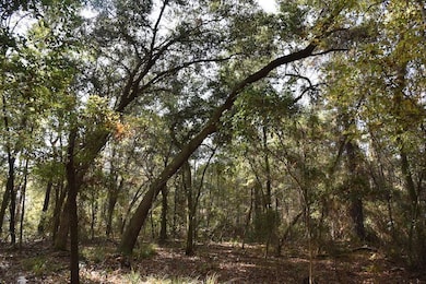 1220 SE US Highway 301 unit LotWP001, Hawthorne, FL 32640 - photo 2