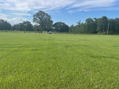 25447 William Rd, Picayune, MS 39466 - photo 4