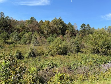 9.10 Oakgrove Rd, Murphy, NC 28906 - photo 6