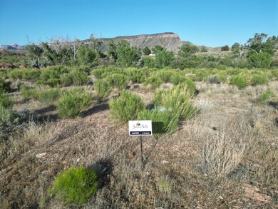 lot 24