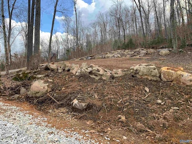 LOT 22 Snug Harbor Rd, Grant, AL 35747 - photo 7