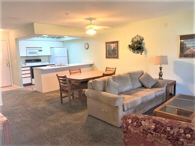 Thousand Hills Golf Condo (1)