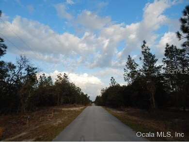 00 SW Edgewater Blvd, Dunnellon, FL 34431 - photo 4