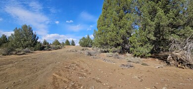 0 Little Fawn Dr unit 10 220209377, Chiloquin, OR 97624 - photo 6