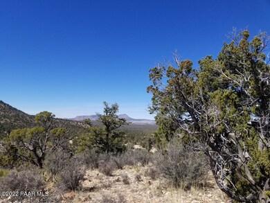 0 Un Named Rd unit 1045970, Ash Fork, AZ 86320 - photo 2