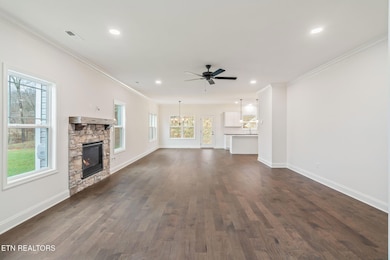 8907 Twisted Willow Ln, Knoxville, TN 37931 - photo 7