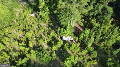 700 Gun Club Rd, Box Springs, GA 31801 - photo 3